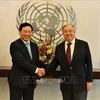 越南与联合国安理会：联合国秘书长与各国官员高度评价越南的国际地位 