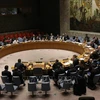 越南与联合国：联合国安理会通过关于也门问题的决议并讨论哥伦比亚和平进程