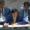 越南与联合国安理会：越南主持召开也门局势公开会