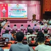 越南多地开展2020庚子年海外侨胞迎新春活动