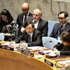 越南与联合国安理会：越南主持召开联合国安理会关于以色列和巴基斯坦局势公开会