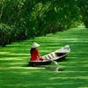 越南九龙江三角洲地区各省努力开发旅游资源 推动旅游业发展