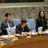 越南与联合国安理会：安理会首次就加强联合国与东盟合作问题展开讨论