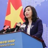 越南外交部发言人黎氏秋姮：越南希望英国脱欧进程顺利进行