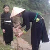 广宁省岱族同胞新年取水的美俗