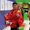 越南体育各界努力争取2020年东京奥运会入场券
