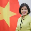越南主持东盟协调委员会有关世贸组织事务的会议