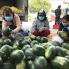 新冠肺炎疫情对越南农产品的影响和对策 努力把挑战变成机遇