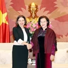 越南国会主席阮氏金银会见澳大利亚驻越南大使罗宾•穆迪