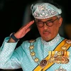 马来西亚：六党领袖晋见国王 