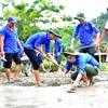 促进越南年轻人的全球志愿服务活动