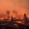 印尼进行人工降雨以扑灭森林火灾