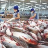 越南查鱼对美出口呈激增态势