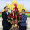 越南党和国家领导致电和送花篮庆祝老挝人民革命党成立65周年