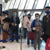 滞留海外越南公民获得医疗照顾  驻外代表机构将安排符合航班将其送回国