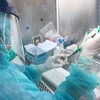 新冠肺炎疫情：胡志明市新增三家医院具备开展新冠病毒核酸检测资质