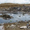 把生物技术应用于垃圾填埋场垃圾渗漏液污染控制工作 