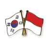 韩国与印尼一致同意尽早签订CEPA