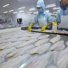越南查鱼对美、中两大市场的出口活动释放出积极信号