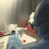 新冠肺炎疫情：集中资源研制新冠肺炎病毒检测试剂盒