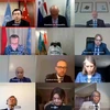 越南出席联合国安理会有关苏丹达尔富尔问题的连线视频会议