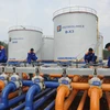 越南统计总局局长阮碧林：原油价格暴跌会对越南造成双向影响