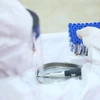 新冠肺炎疫情：越南连续12天未出现新增本地社区传播病例