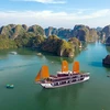 越南旅游业对疫情后创造突破充满信心