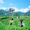 莱州省碳渊县首个农家乐旅游模式