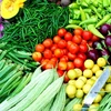 越南蔬果努力开拓泰国市场