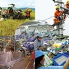 国际组织对越南经济给予积极评价