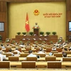 越南第十四届国会第九次会议：提交国会2021-2030年少数民族地区和山区经济社会发展国家目标计划