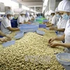 欧洲议员对EVFTA生效之后越南农产品面临的机会和挑战作出评价