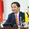 越南与文莱为两国商业航线早日重启作出努力