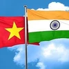 公共外交与印度—越南合作关系