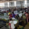 越南农业经营企业为柬埔寨劳动者创造就业机会
