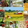 EVFTA给越南农业带来机遇与挑战