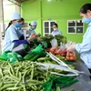 柬埔寨仍未发布任何关于禁止进口越南蔬果的通知