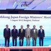 日本和越南将共同主持召开第十三届湄公河与日本部长级会议 
