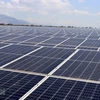 宁顺省Solar Farm太阳能发电厂正式竣工投运