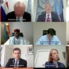 联合国安理会就西非和萨赫勒地区问题进行视频讨论 越南支持预防性外交