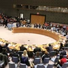 越南与联合国安理会：联合国安理会上半年的活动盘点及越南的作用和贡献
