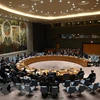 联合国安理会通过有关促进青年在维持和平与安全中的角色的决议