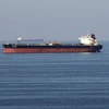 越南呼吁也门胡塞武装组织与联合国合作解决油轮问题 