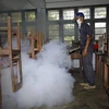 缅甸发出有关登革热病预防警告