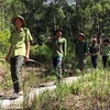 宁顺省推广森林保护与可持续发展民生相结合的模式