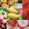 越南农产品出口连续迎来喜讯