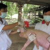 越南具备检测和发现猪流感病毒的能力