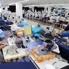 日本Matsuoka Corp.计划投资30亿日元在越南生产保护服