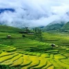 越南安沛省木江界县旅程中不可错过的美景